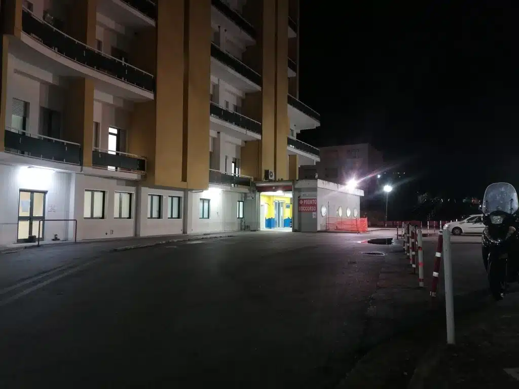 Castellabate aggredito cinghiale