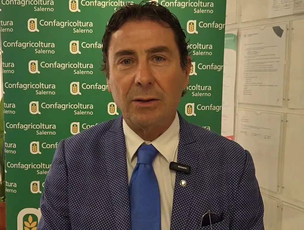 confagricoltura salerno legge bilancio