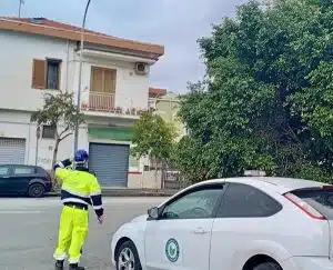 Mariconda, albero pericolante sulla carreggiata: intervento immediato di volontari e forze dell’ordine evita incidenti