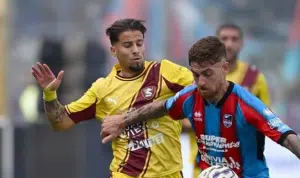 Catania - Salernitana 2-0