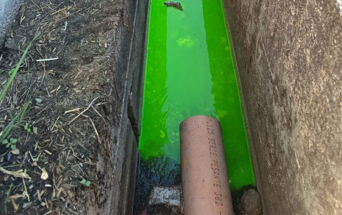 capaccio paestum smaltimento illecito rifiuti
