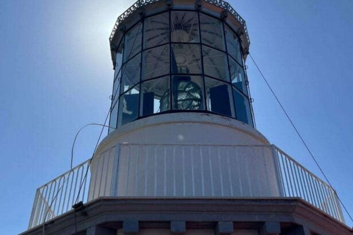 centola 4 novembre cerimonia