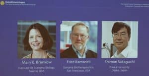 Premio nobel medicina 2025 Brunkow Ramsdell Sakaguchi
