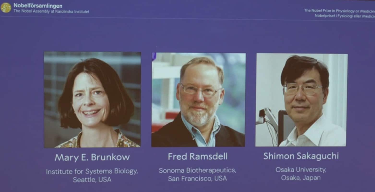 Premio nobel medicina 2025 Brunkow Ramsdell Sakaguchi