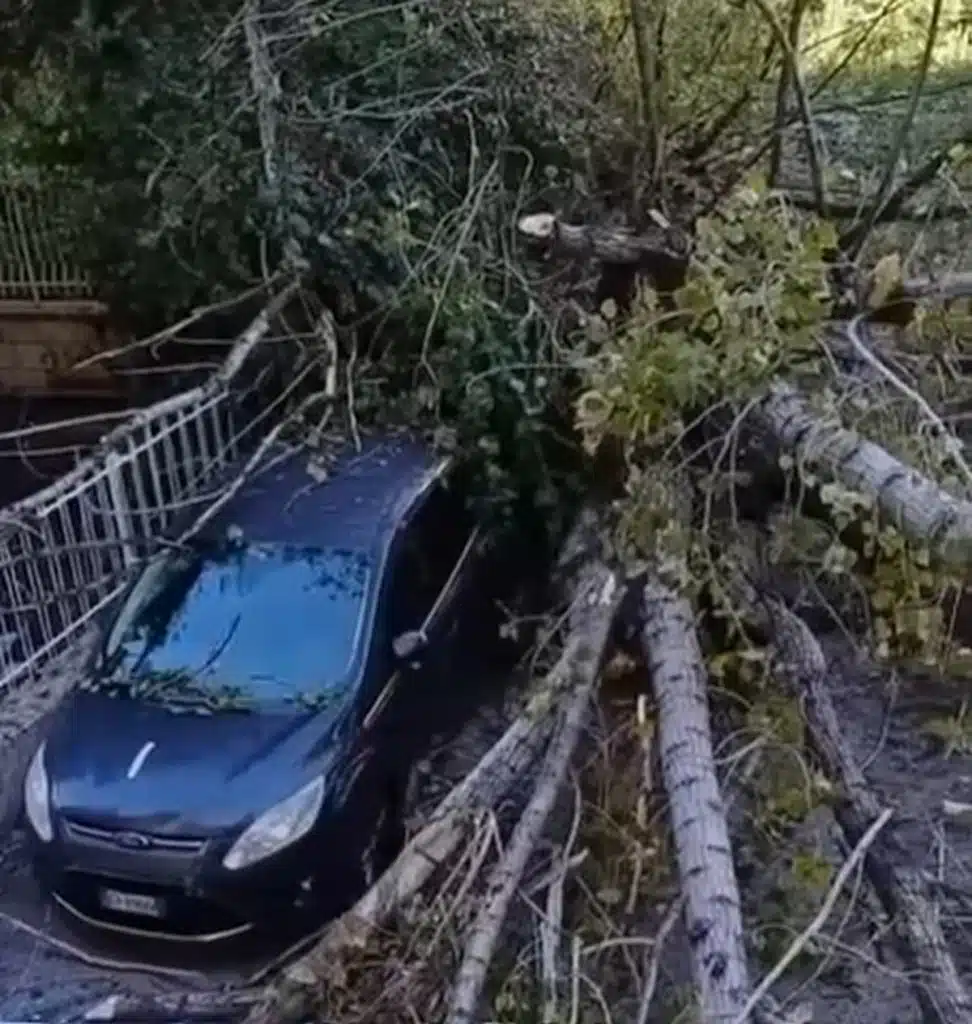 salernon crollo albero 9 ottobre
