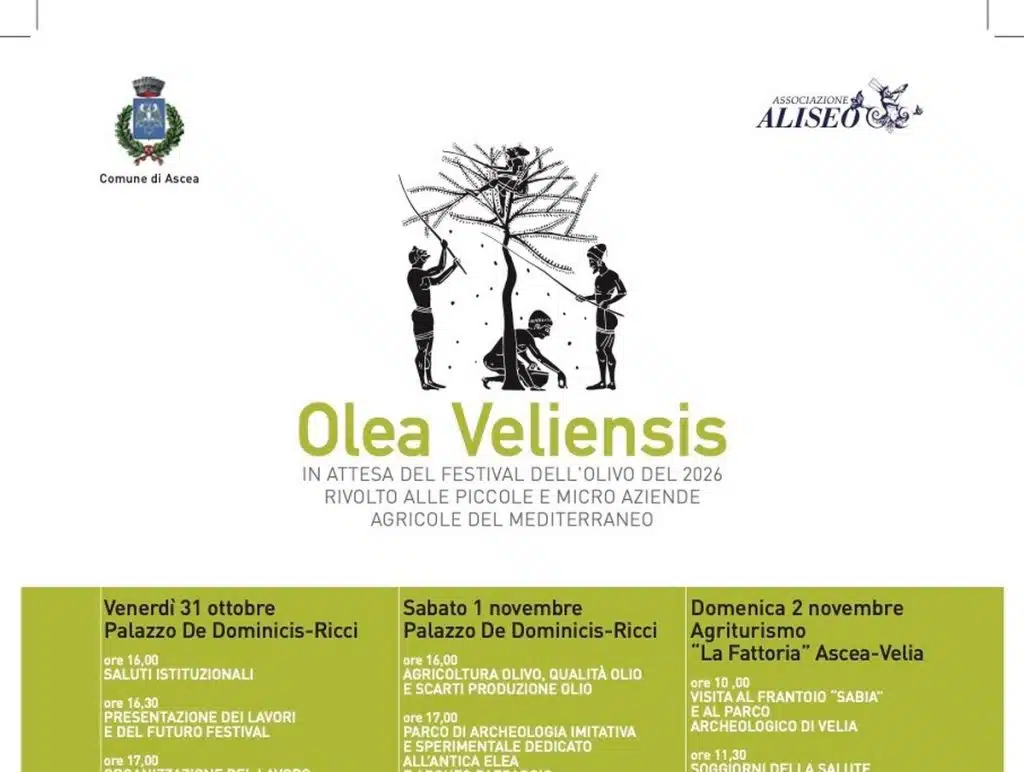 ascea olea veliensis