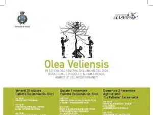ascea olea veliensis