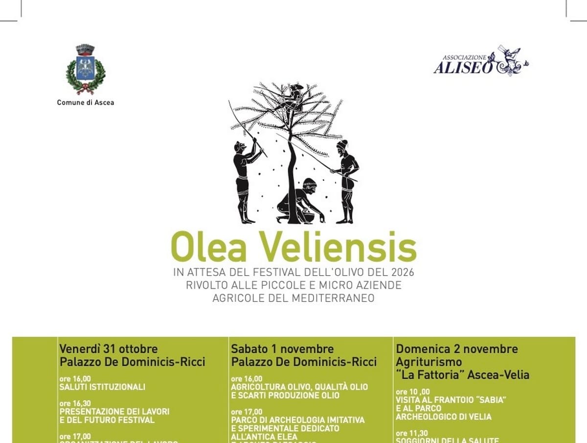 ascea olea veliensis