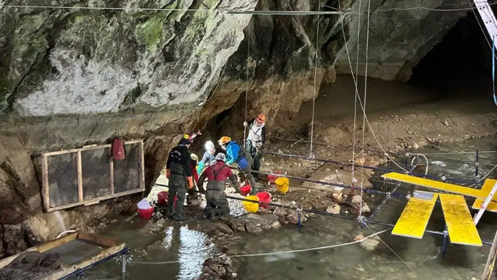 cilento progetto scuola lavoro archeologia