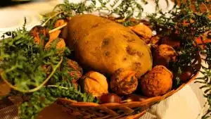 Castelcivita celebra la Patata di Montagna: due giorni di tradizione, gusto e sostenibilità per la XIV edizione della Festa