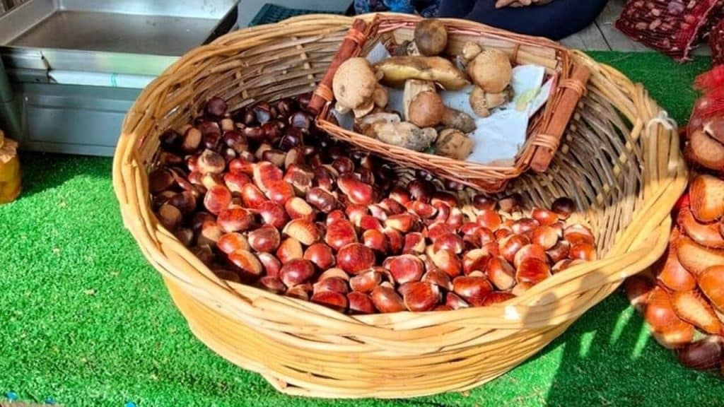 sagra castagna prodotti sottobosco acerno