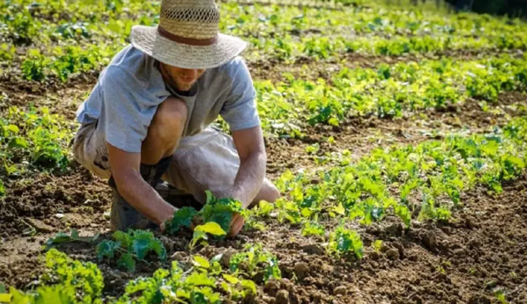 Campania agricoltura sociale