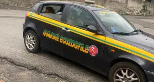 rifiuti pellezzano