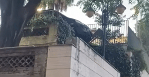 incidente salerno