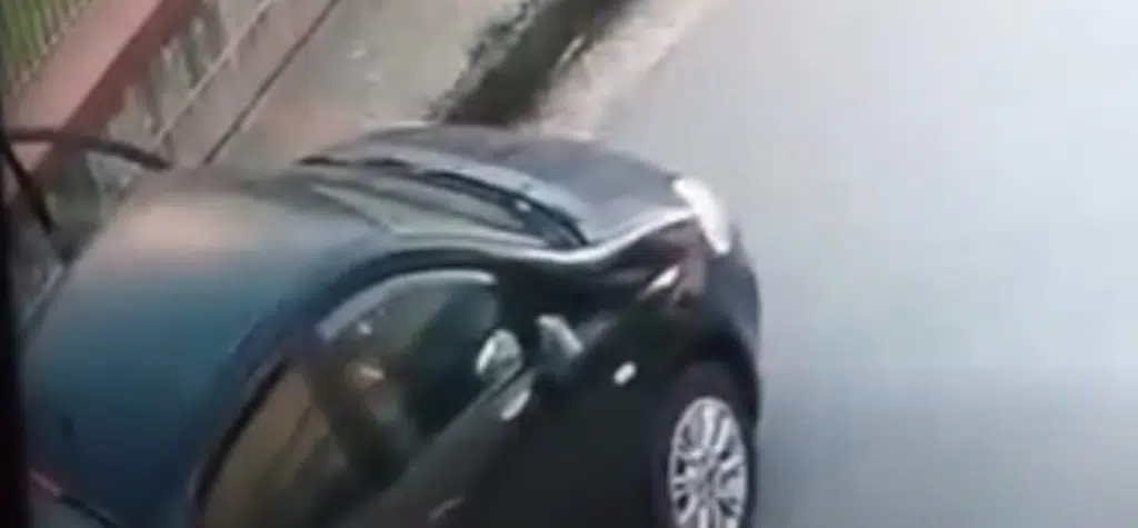 mercato severino rifiuti