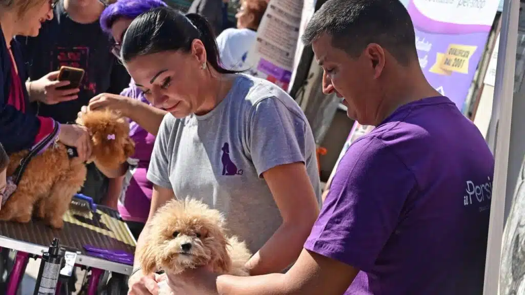 salerno raduno barboncini