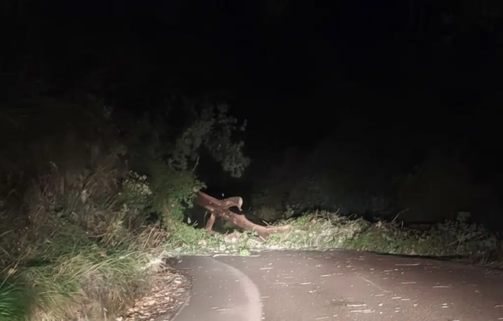 maltempo cilento disagi 23 ottobre