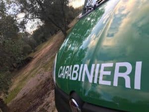 castellabate sequestri proprietario nega irregolarità