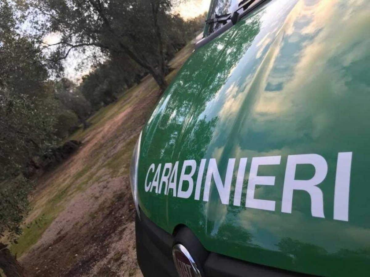 castellabate sequestri proprietario nega irregolarità