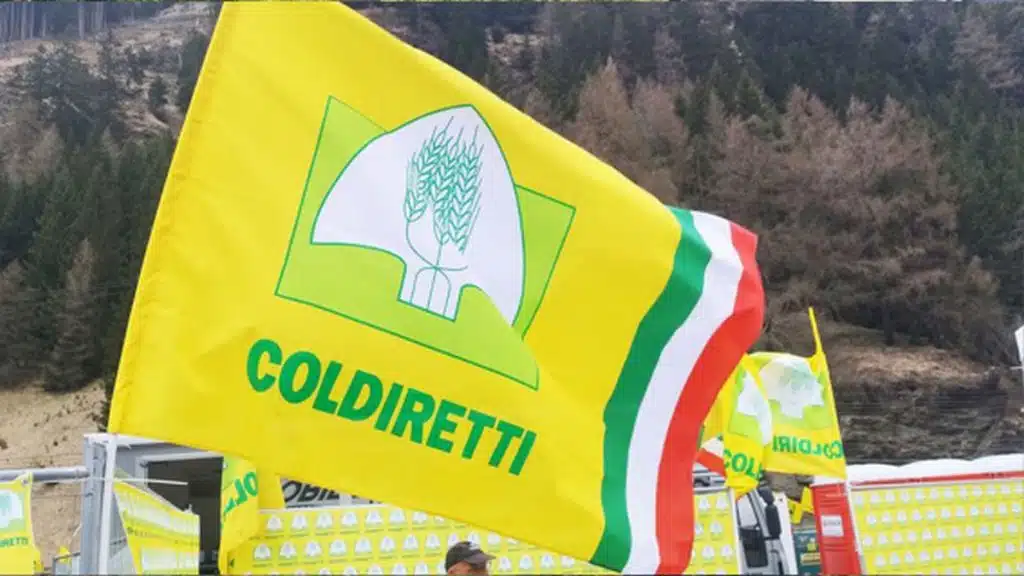 coldiretti salerno rinnovo cariche giovanni impresa donne