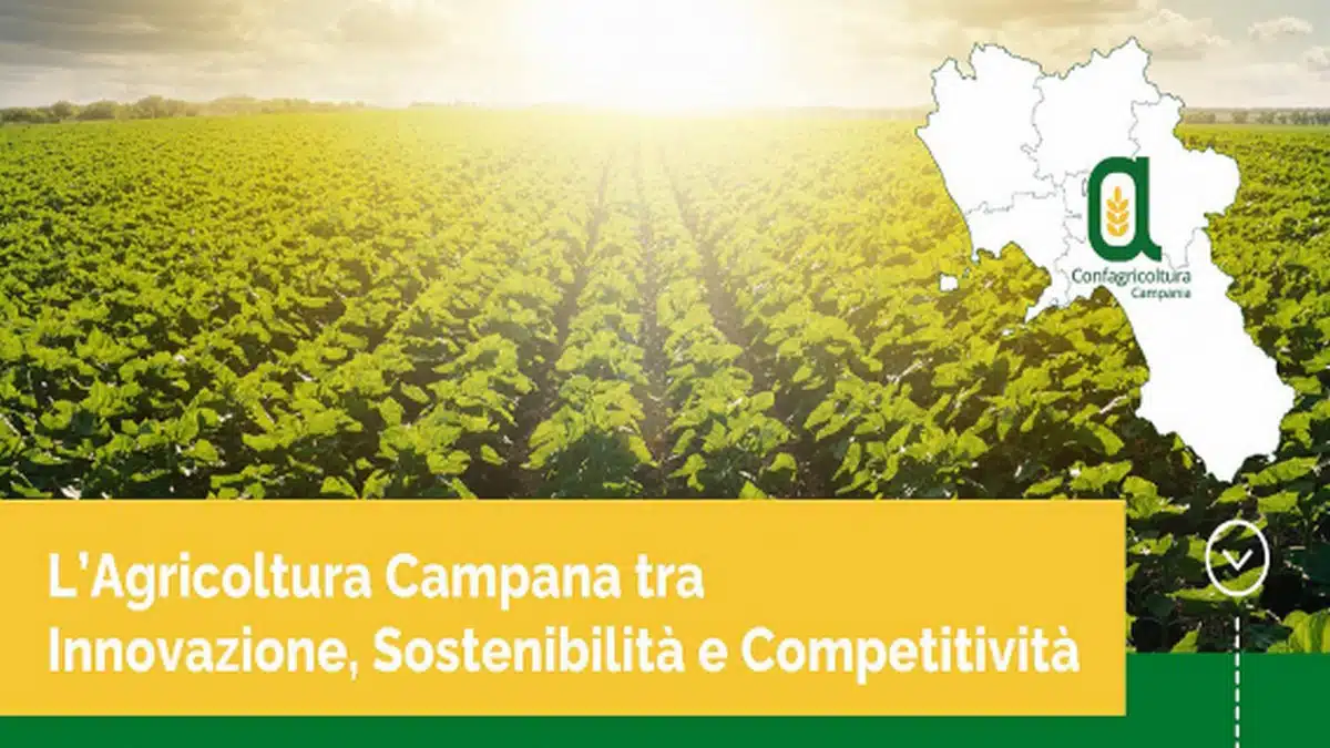 convegno confagricoltura capaccio paestum Lollobrigida Cirielli