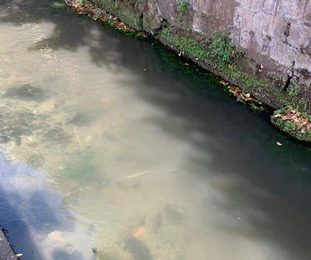 fiume sarno inquinamento contrasto procure