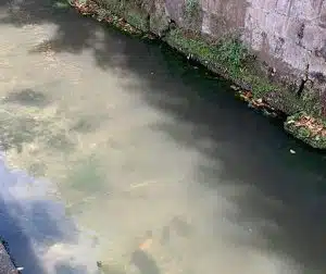 fiume sarno inquinamento contrasto procure