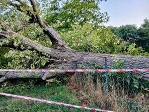incidente acerno 7 ottobre