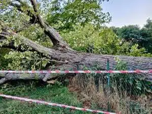 incidente acerno 7 ottobre