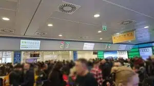 controlli fitosanitari capodichino