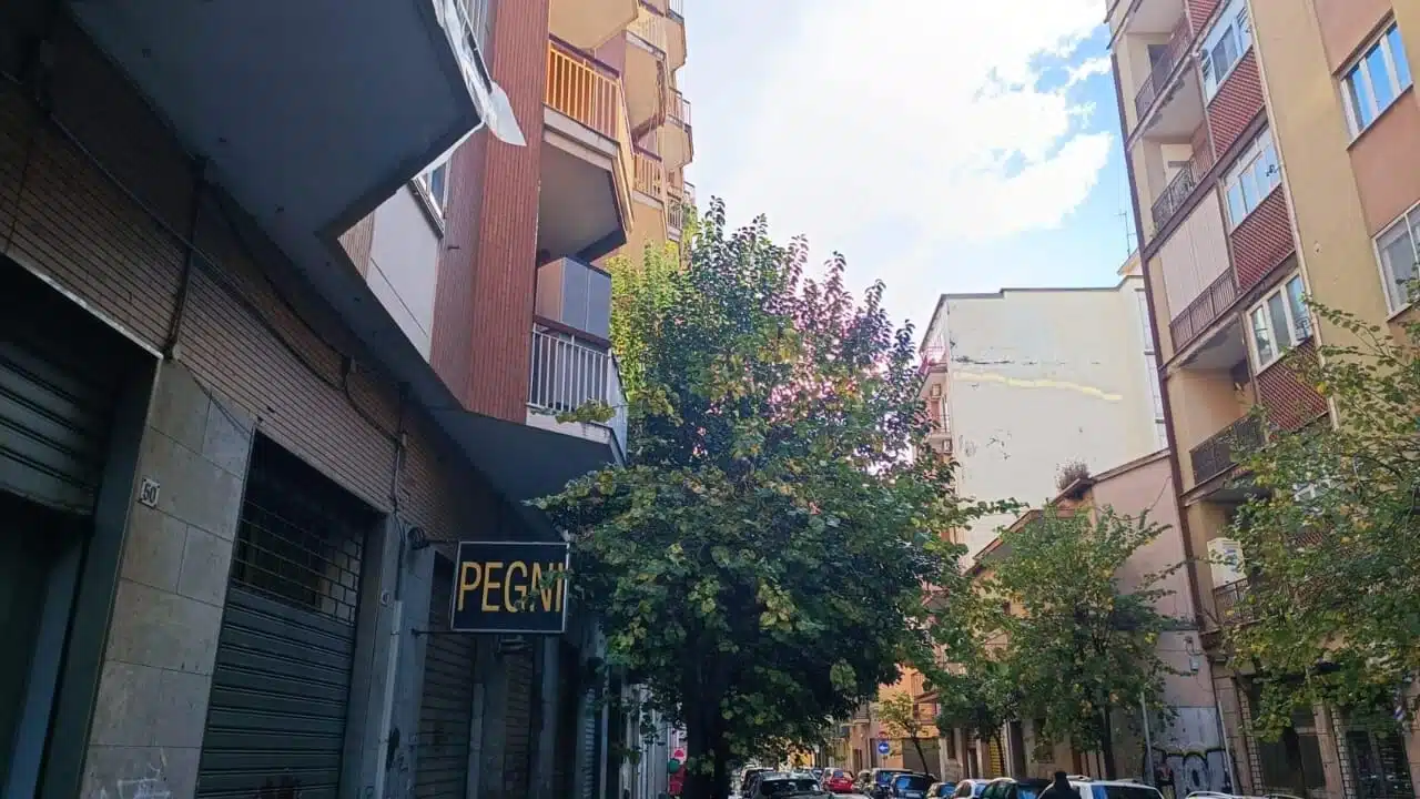 Torrione alberi via XX Settembre