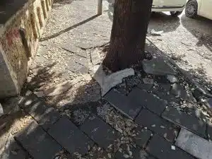 Salerno, marciapiede dissestato e alberi non potati davanti all’asilo comunale: rischi per famiglie in via Mauri