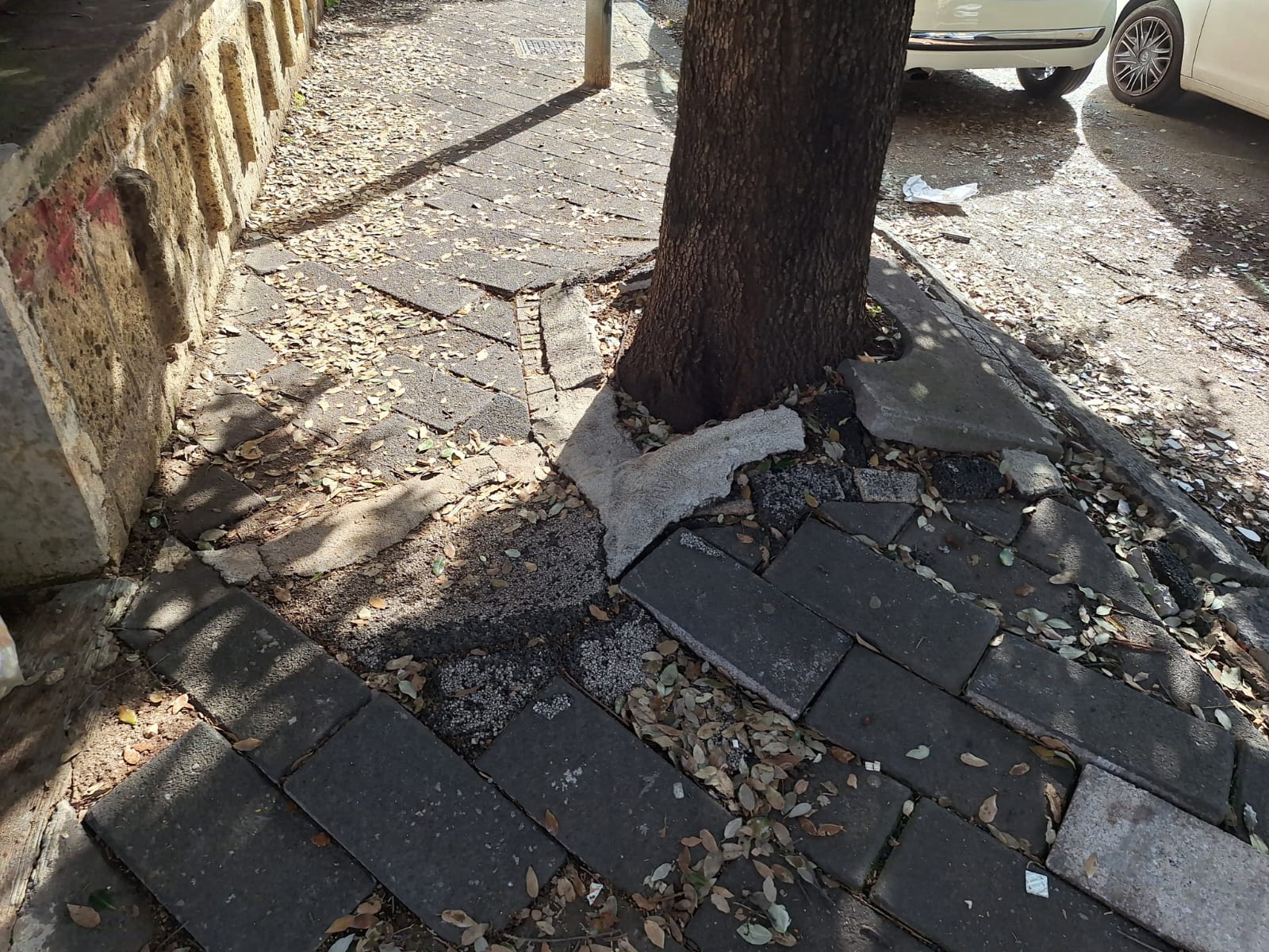 Salerno, marciapiede dissestato e alberi non potati davanti all’asilo comunale: rischi per famiglie in via Mauri