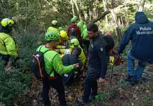 Acerno, cercatore di funghi scompare nei boschi: ritrovato dopo ore di ricerche