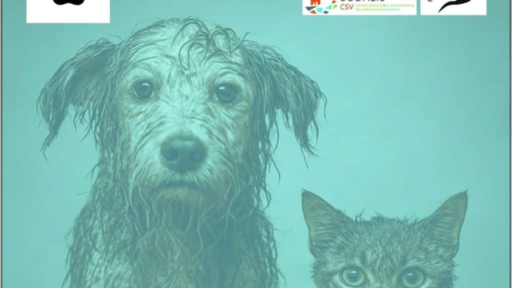 salerno convegno animali diritti tutela legge 82/2025