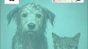 salerno convegno animali diritti tutela legge 82/2025