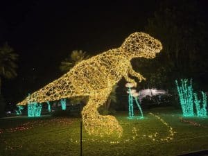 Luci Artista salerno Giardino
