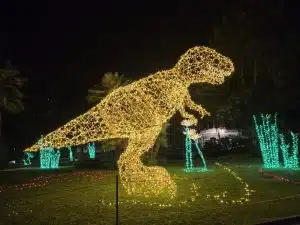 Luci Artista salerno Giardino