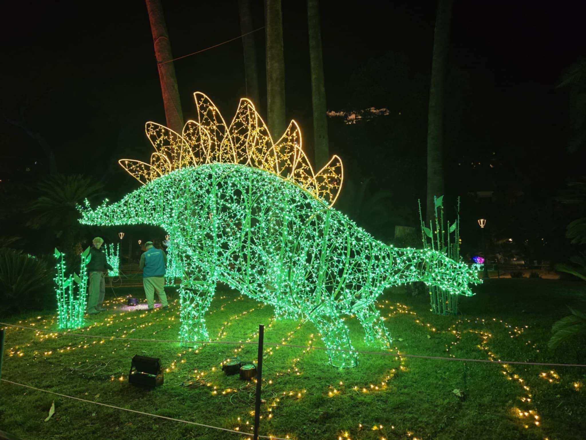 Foto di Antonio Capuano