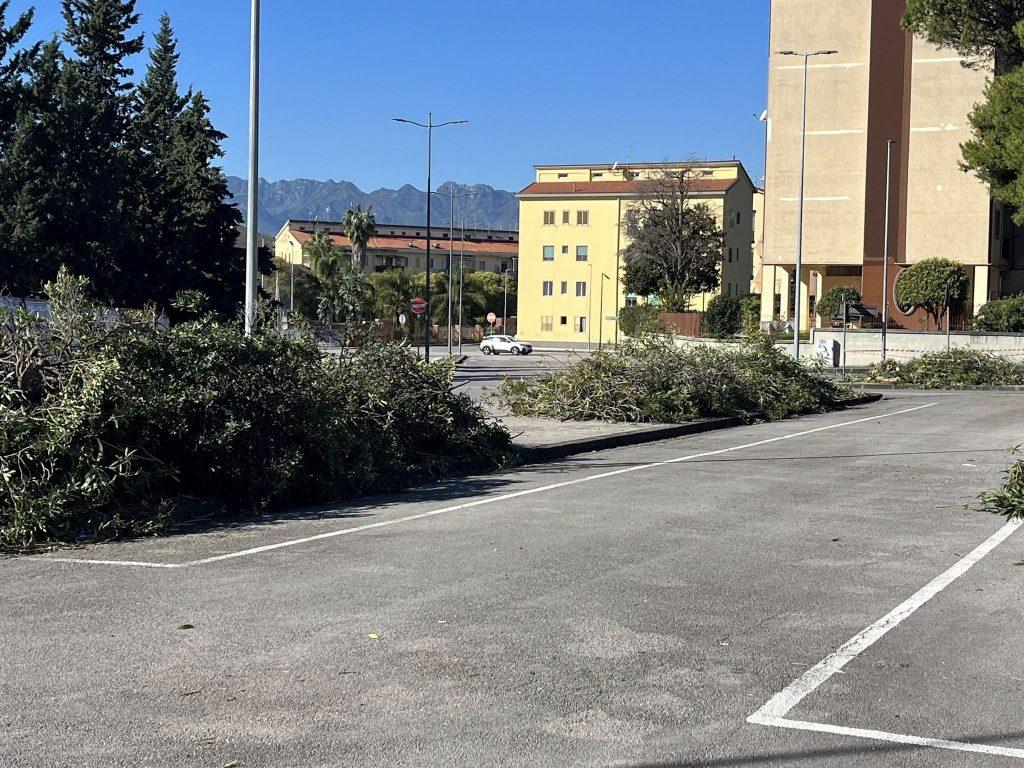 Mariconda, via ai lavori per il nuovo volto del quartiere: potature, alberi e sicurezza al centro del piano