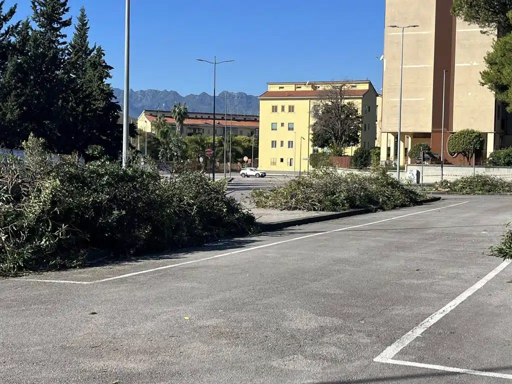 Mariconda, via ai lavori per il nuovo volto del quartiere: potature, alberi e sicurezza al centro del piano
