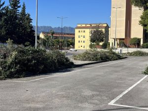 Mariconda, via ai lavori per il nuovo volto del quartiere: potature, alberi e sicurezza al centro del piano