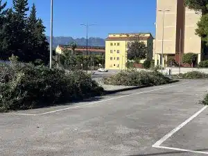 Mariconda, via ai lavori per il nuovo volto del quartiere: potature, alberi e sicurezza al centro del piano