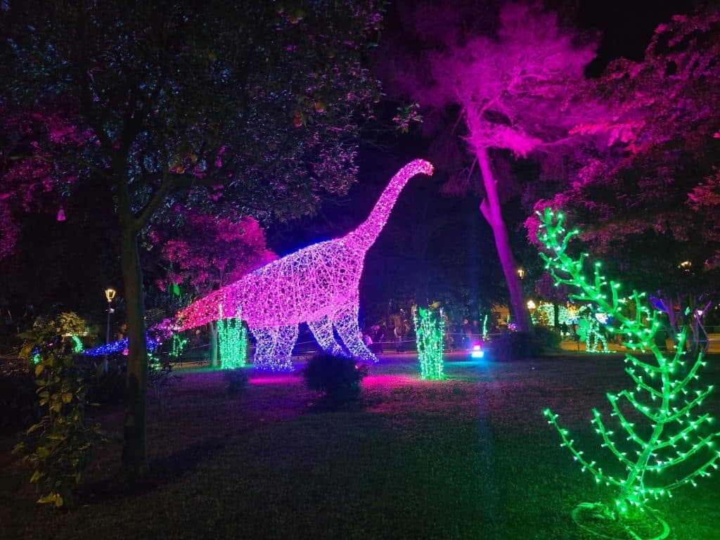 salerno luci artista