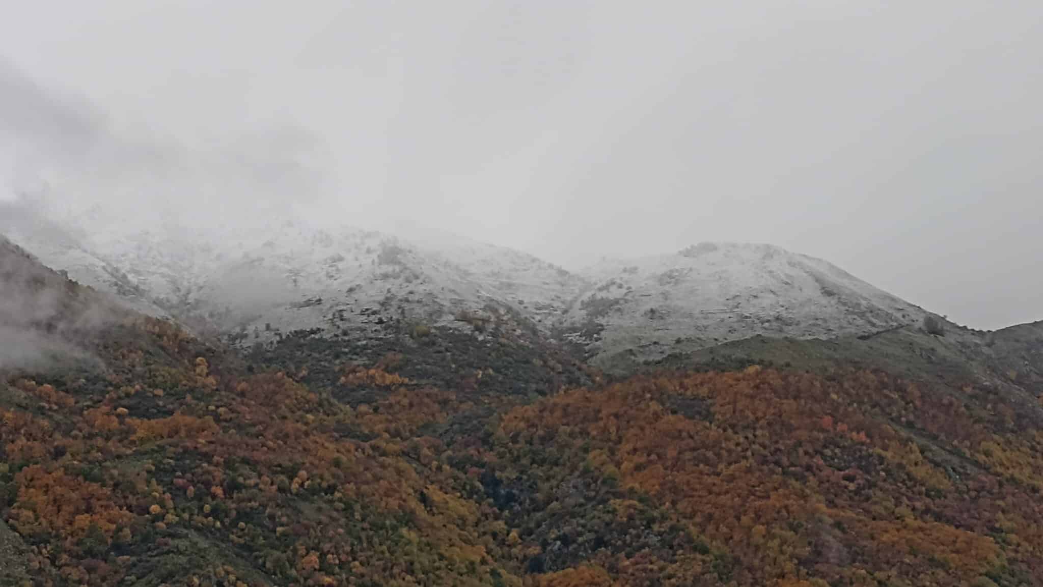 Primi fiocchi di neve in provincia di Salerno: il Vallo di Diano e il Tanagro imbiancati