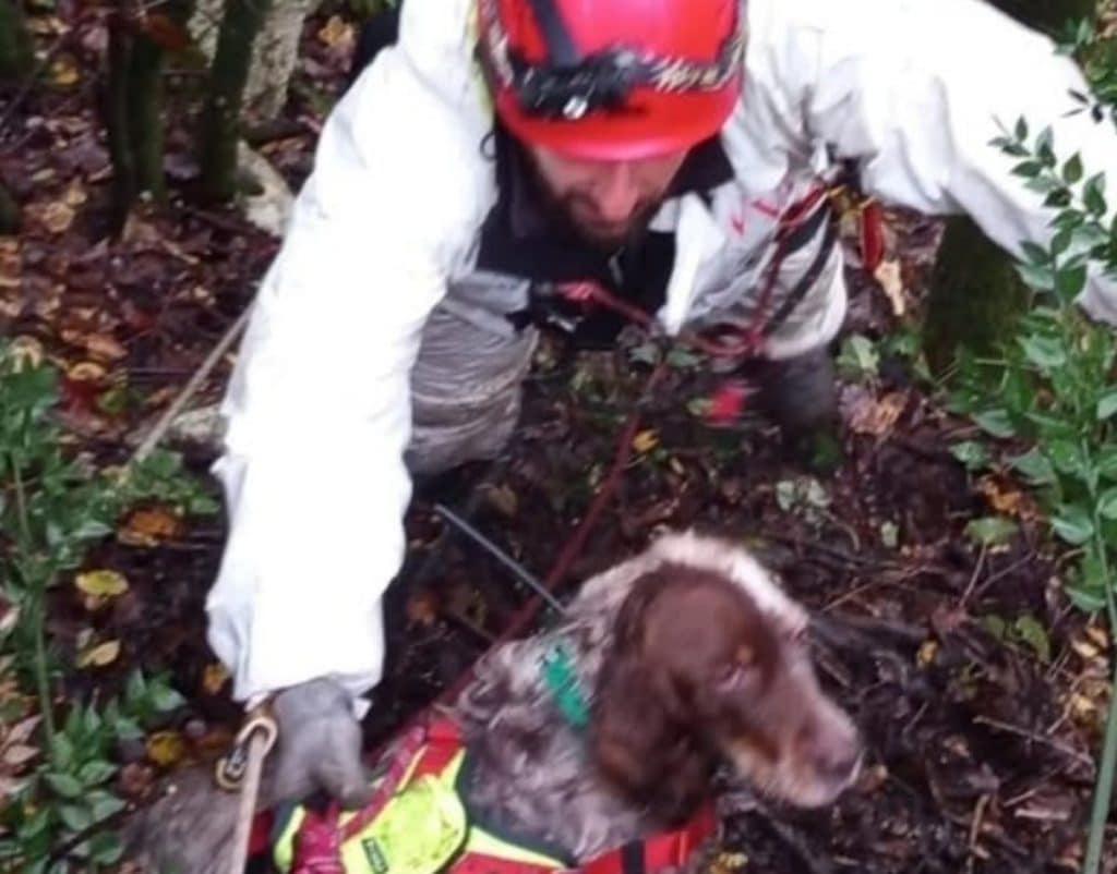 roscigno cani salvati fiume sammaro