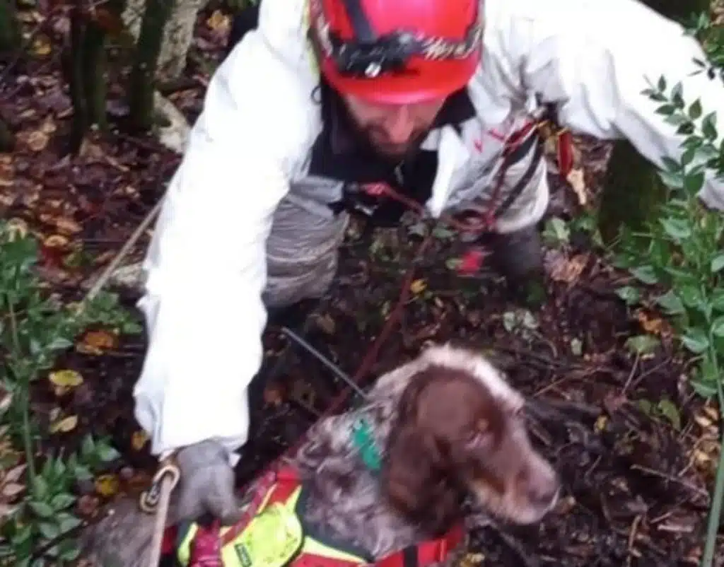 roscigno cani salvati fiume sammaro