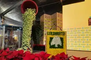 congresso nazionale fiore campania capitale florovivaismo