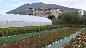 occupazione giovanile agricoltura rapporto coldiretti