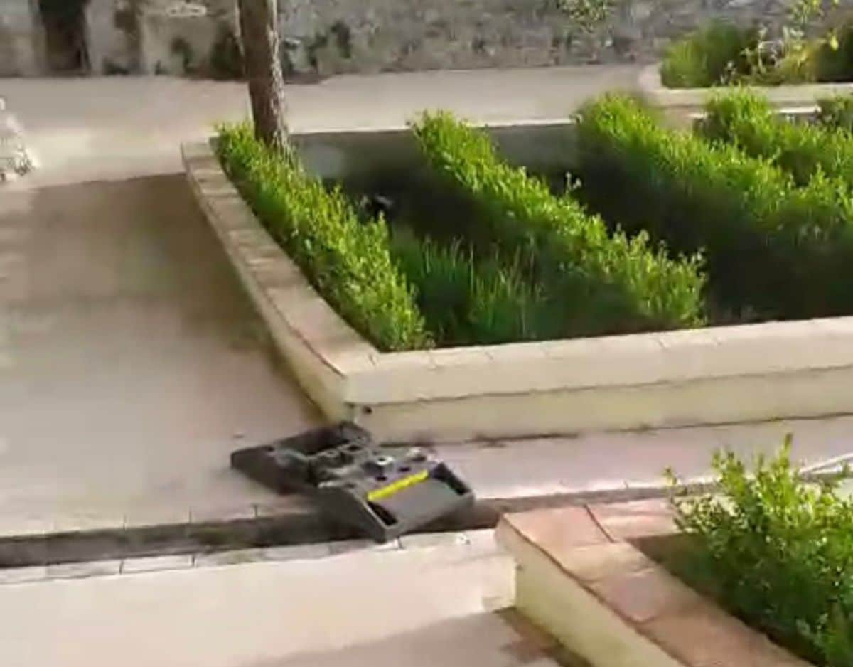 salerno vandali giardini minerva